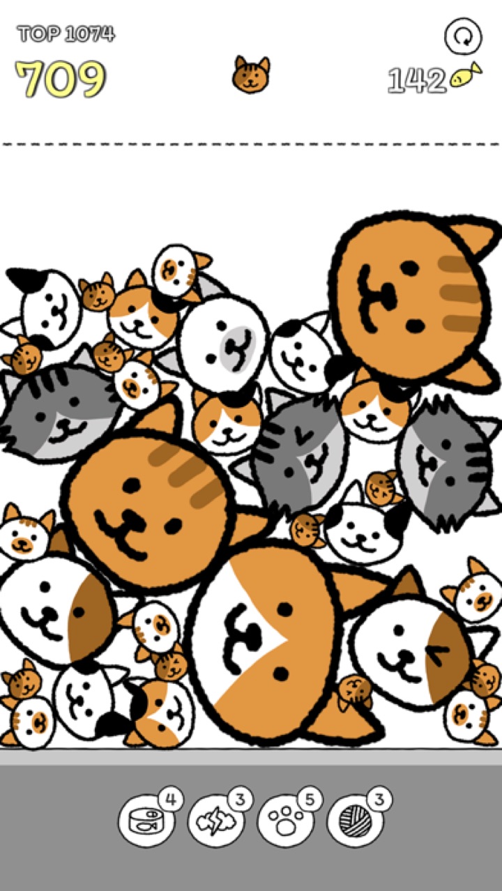 用配饰装扮猫咪